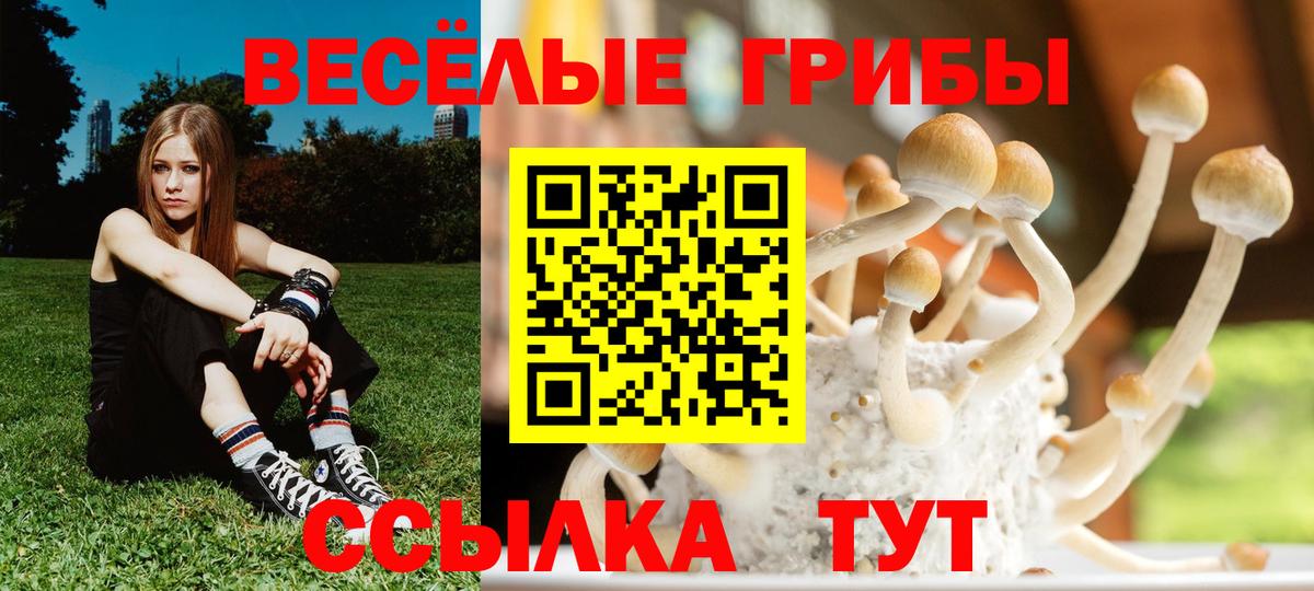 Норильск  Псилоцибиновые грибы Cubensis  где купить наркоту  Вход с VPN 
